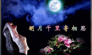 明月千里寄相思诗词 明月千里寄相思诗词