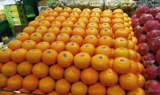 石家庄永兴花园 石家庄永兴花园